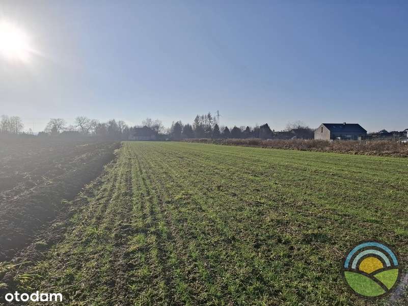 Płaska działka budowlana 760m2 k/Wieliczki - Pełny obrazek: 4/5