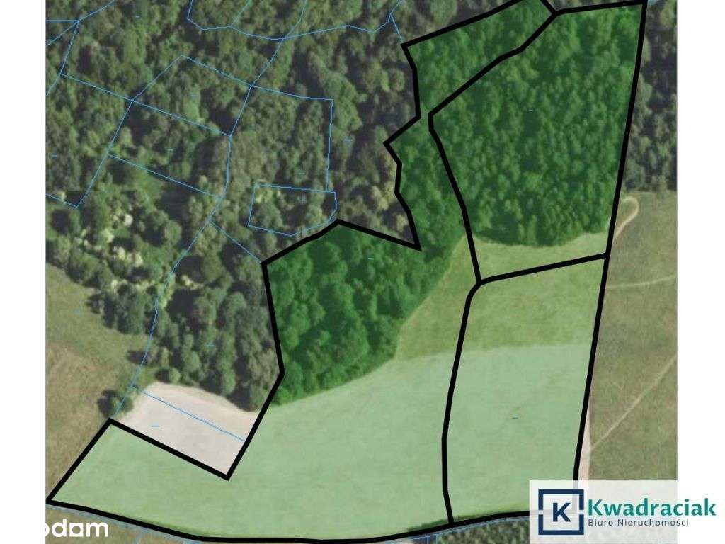 Działka w Lutczy idealna pod Inwestycję – 4,48 ha-11