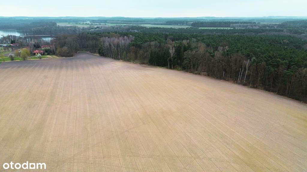 Twoja enklawa wśród lasu i jezior-10