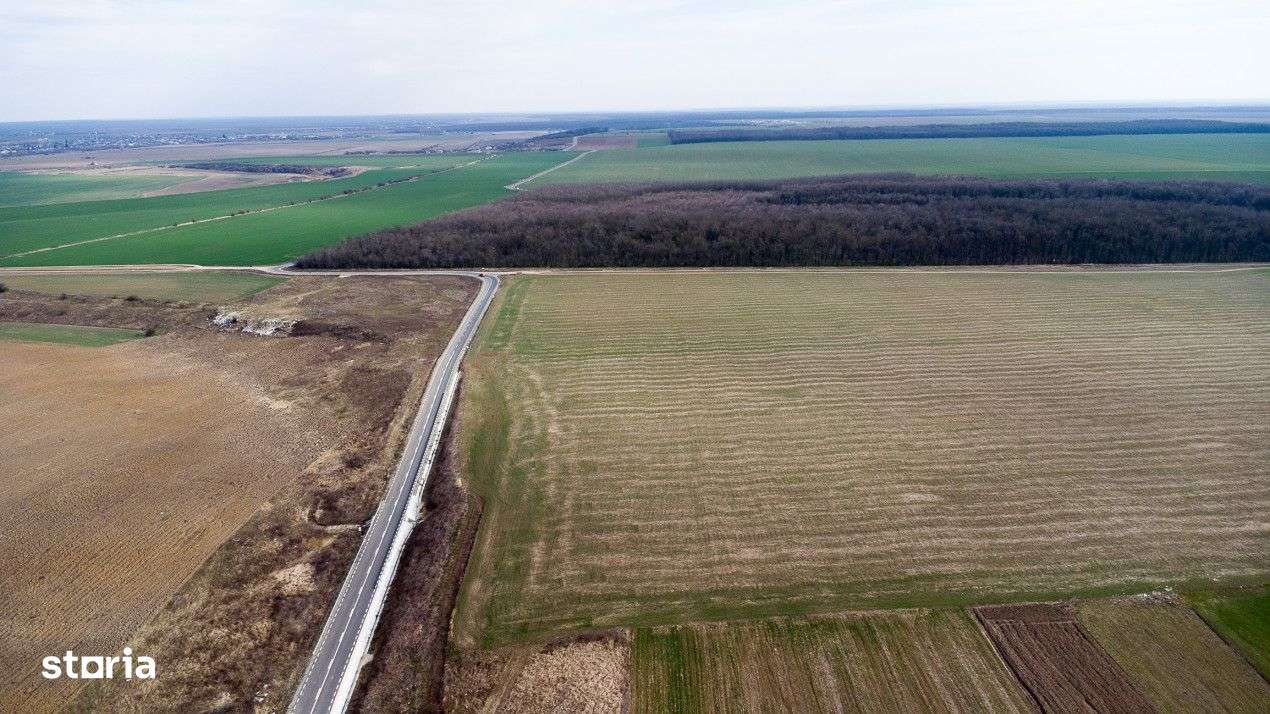 Teren intravilan la asfalt si statie autobuz Ilfov Cernica Posta-15