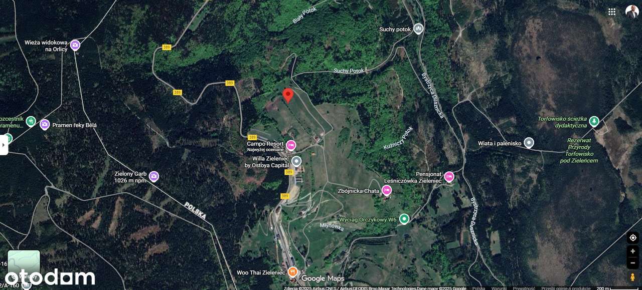 Na Sprzedaż  Pięknie Położona Działka Budowlana w Zieleńcu - Pełny obrazek: 5/7