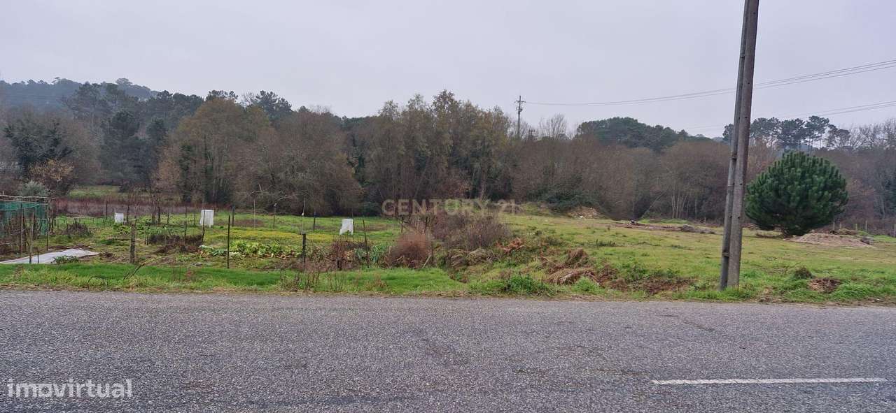 Terreno em São João de Lourosa, Viseu - Oportunidade Única - Grande imagem: 4/8