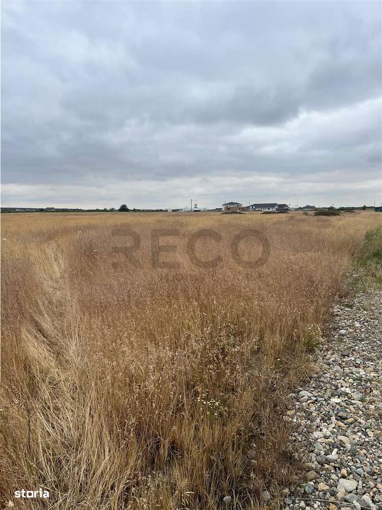 RECO teren Cihei - Imagine principală: 2/6