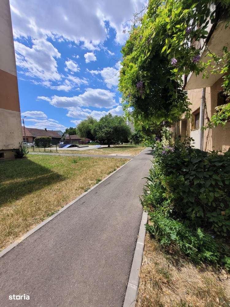 Carpati II: Apartament spatios cu 3 camere | Locuinta de familie-17