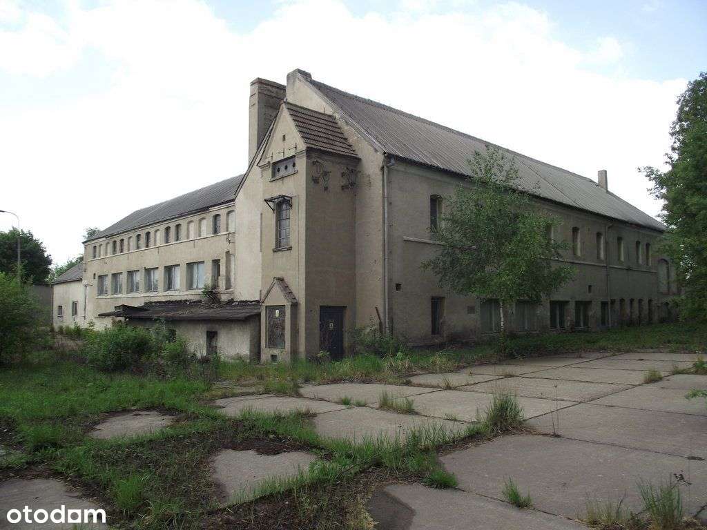 Działka, 4 868 m², Recz-5