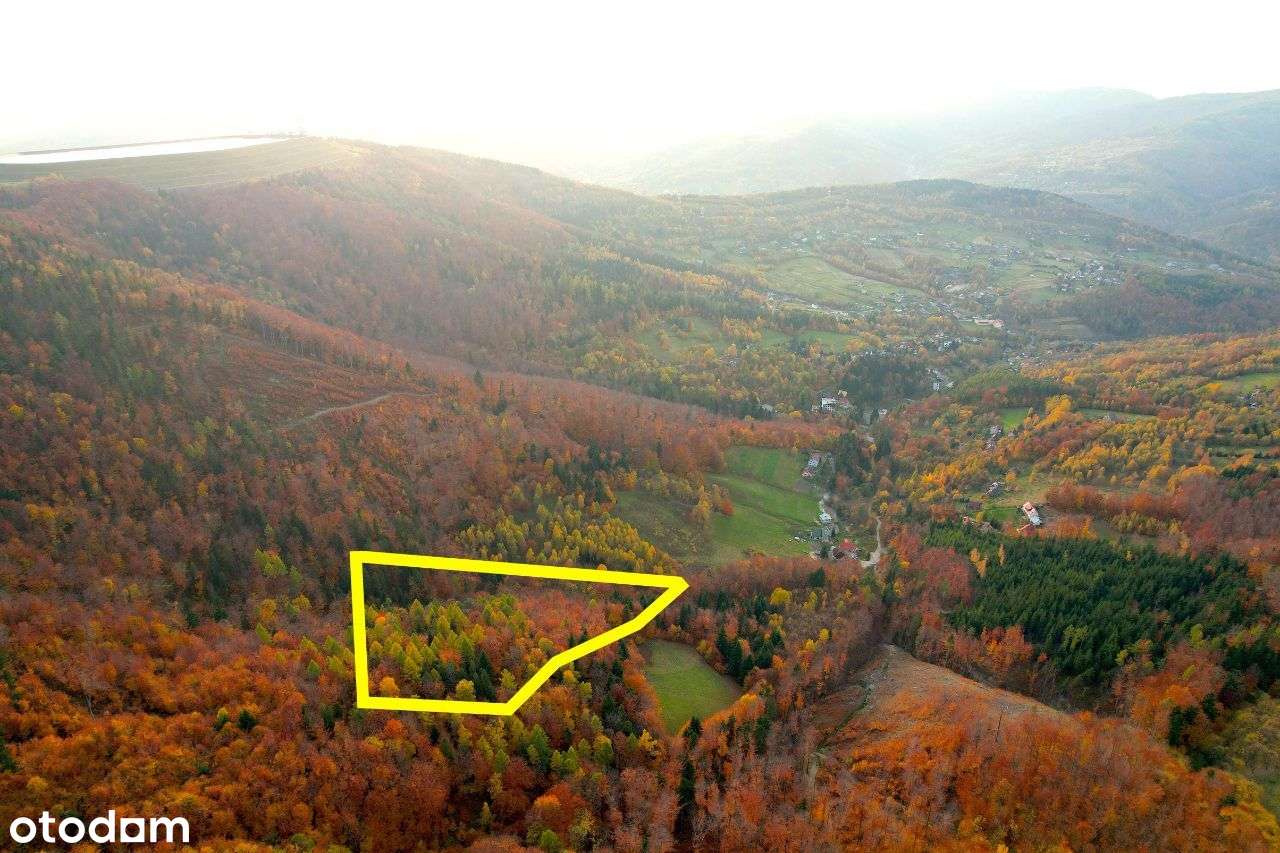 Porąbka 85ar z pozwol. na budynek roln/rekr Z DALA OD ZGIEŁKU ZAMIANA-5