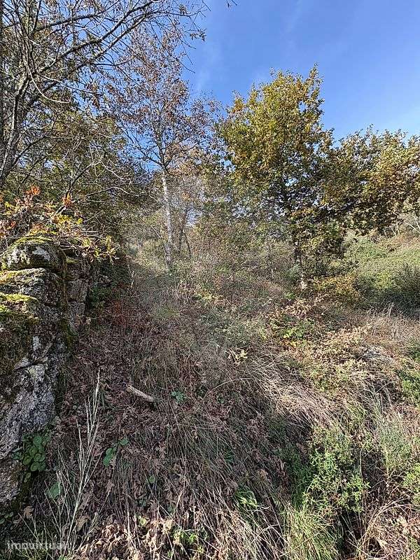 Terreno  para venda - Grande imagem: 5/13