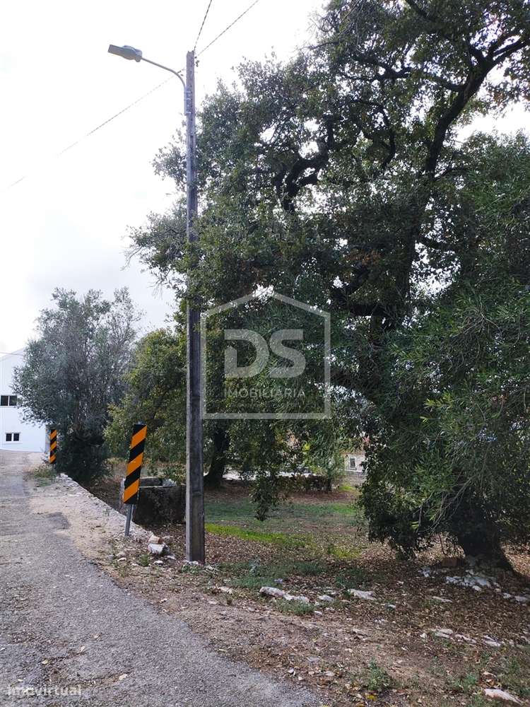 Moradia T3 com terreno de 2640 m² - Grande imagem: 3/14