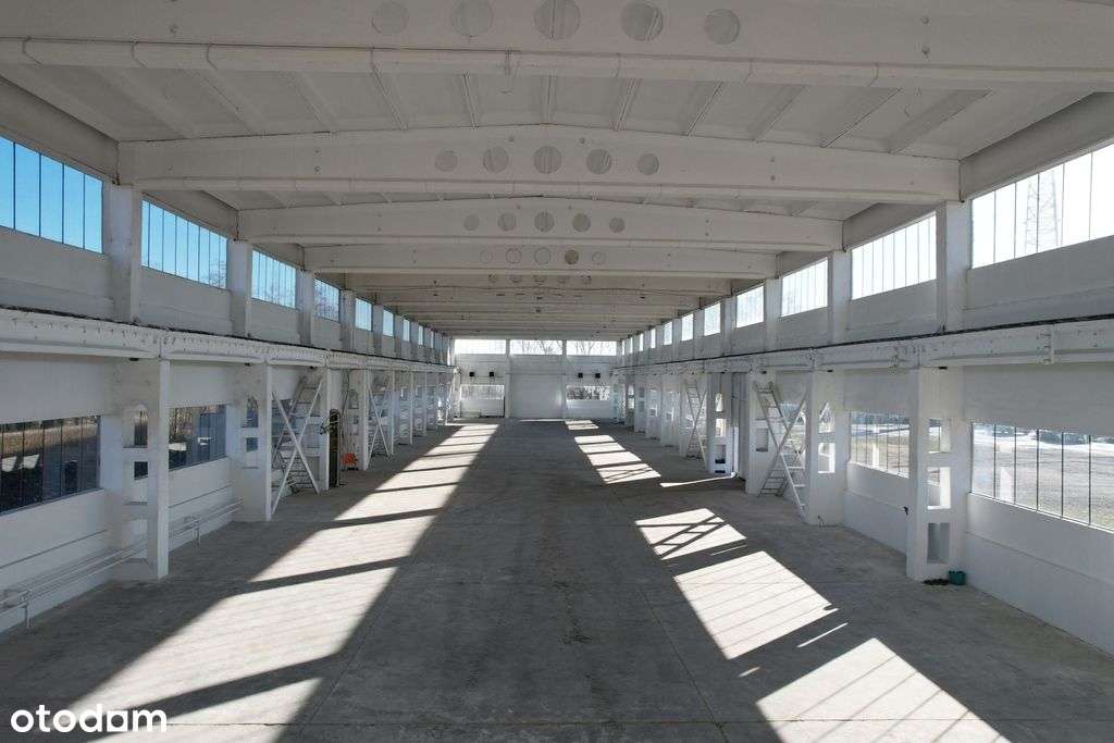 Hala, 1800m2, Co, 10t/m2, suw. 5T, plac 1ha - Pełny obrazek: 4/10