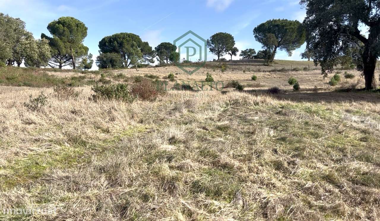 Quinta >=T10 Venda em Cortiçadas de Lavre e Lavre,Montemor-o-Novo - Grande imagem: 4/60