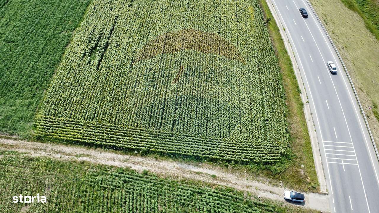 Teren 3,500mp Ilisesti / Strada Principala - Imagine principală: 4/15