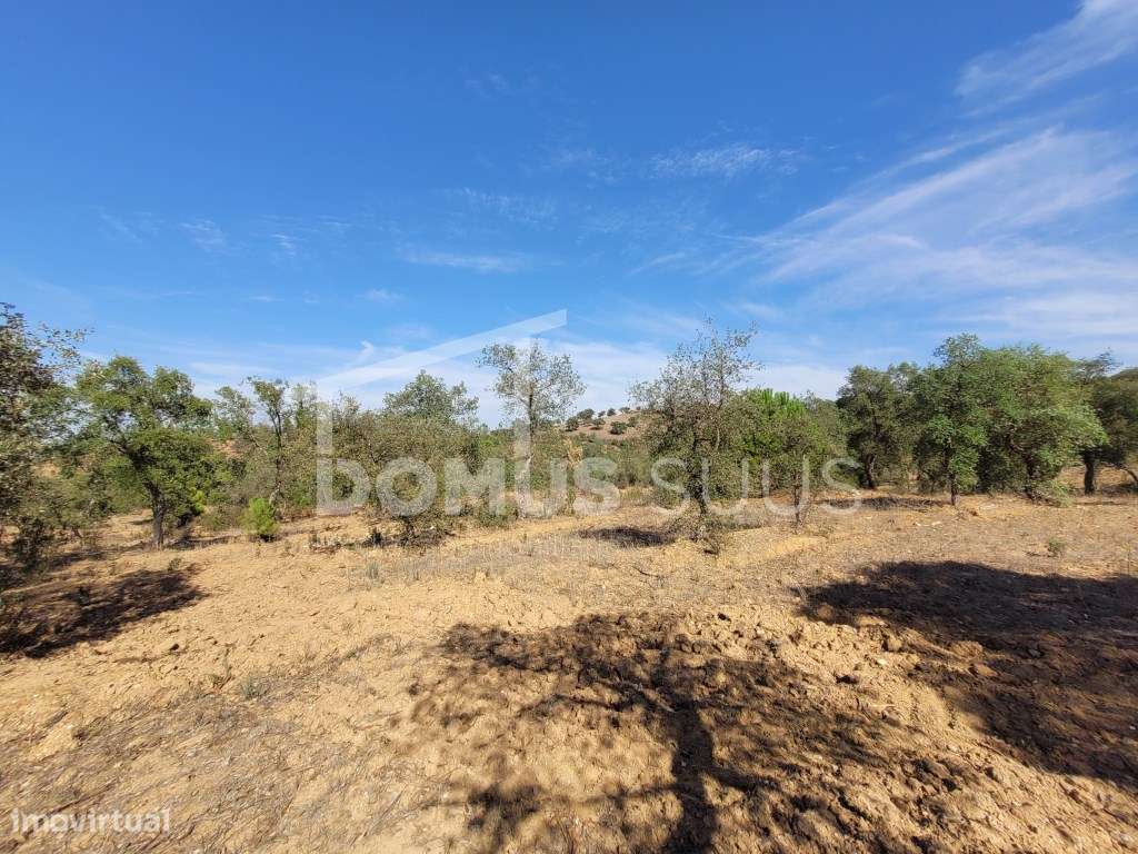 Terreno rústico com 23 Hectares - Grande imagem: 5/22