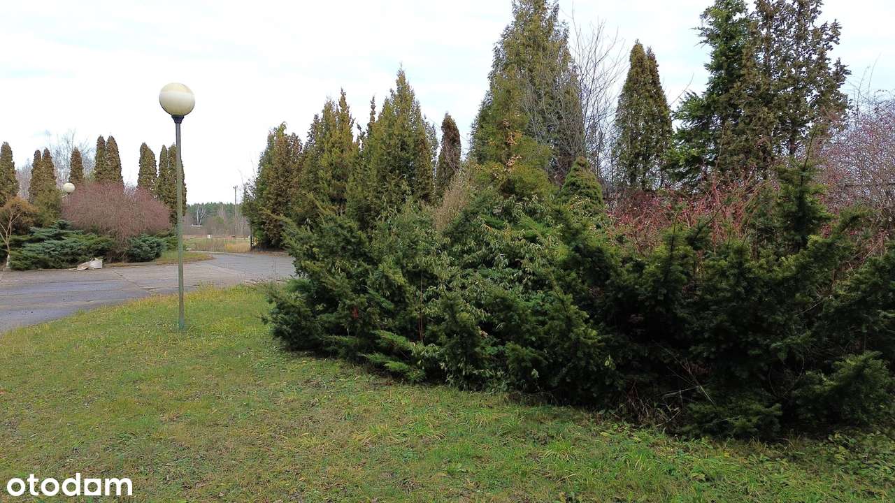 Super budynek niedaleko centrum z niskimi kosztami utrzymania, fotowol-5
