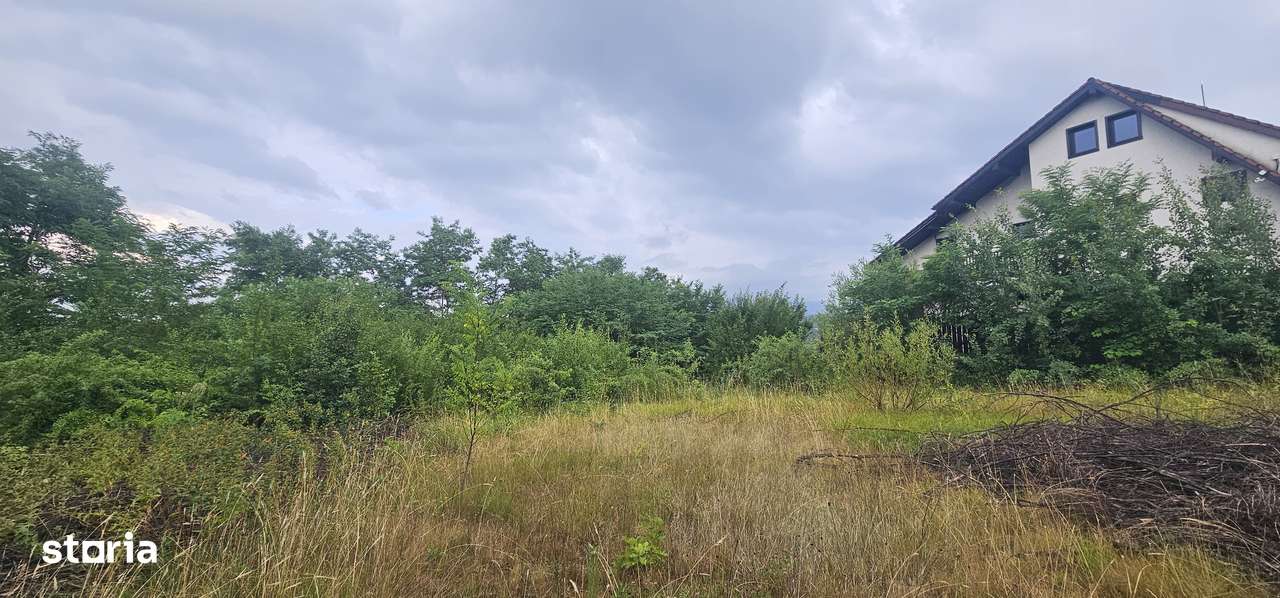 Vand teren intravilan de constructii situat la sosea, Tropinii Noi,PUZ-8