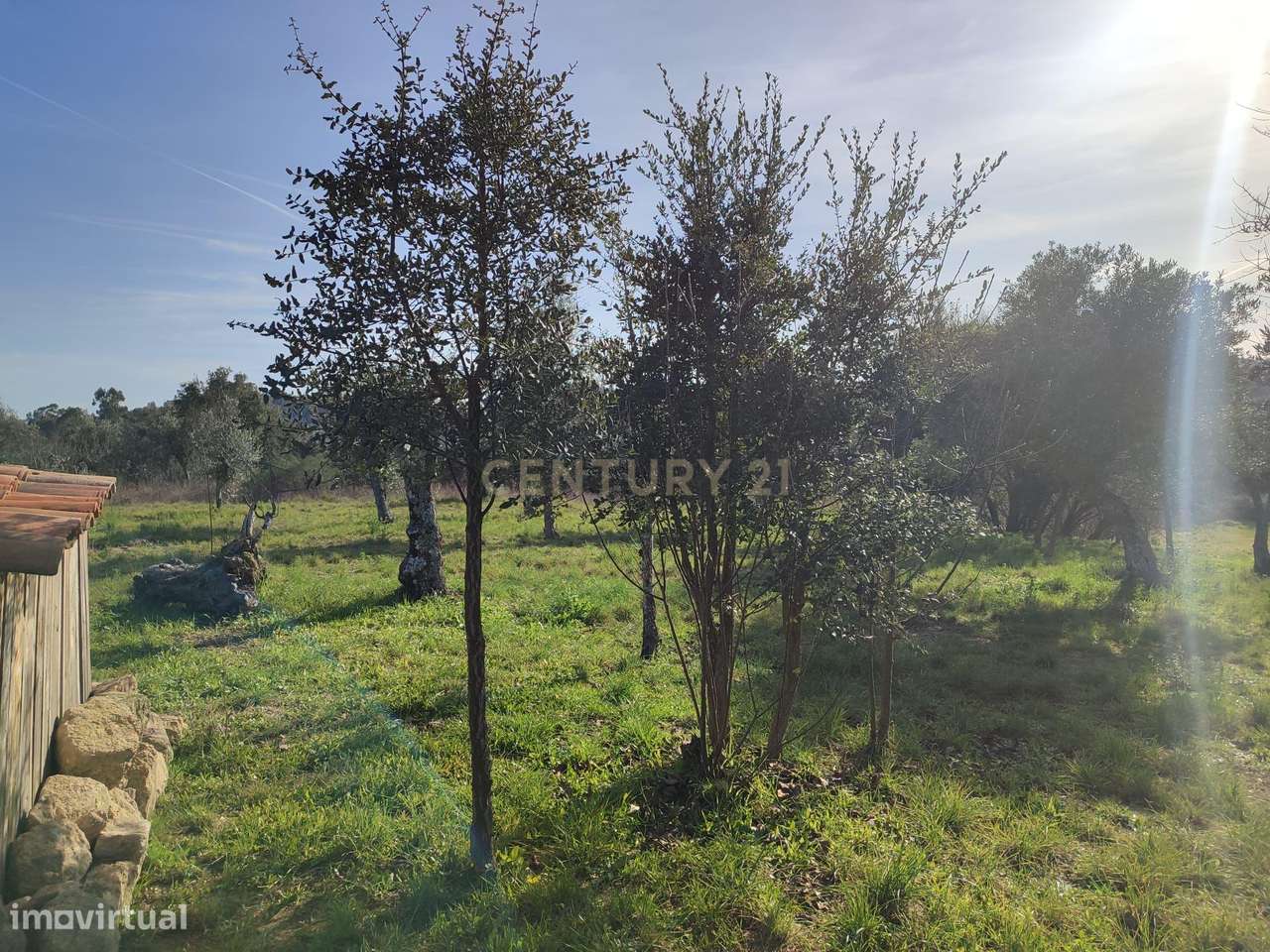Fantástica Quintinha em Tinalhas, Castelo Branco - Grande imagem: 2/47