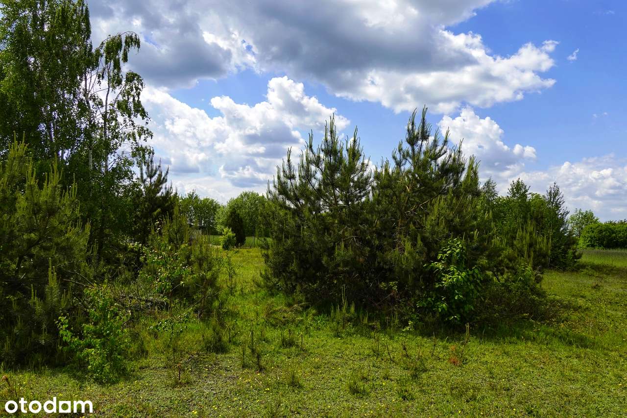 Działka dla miłośników natury-5
