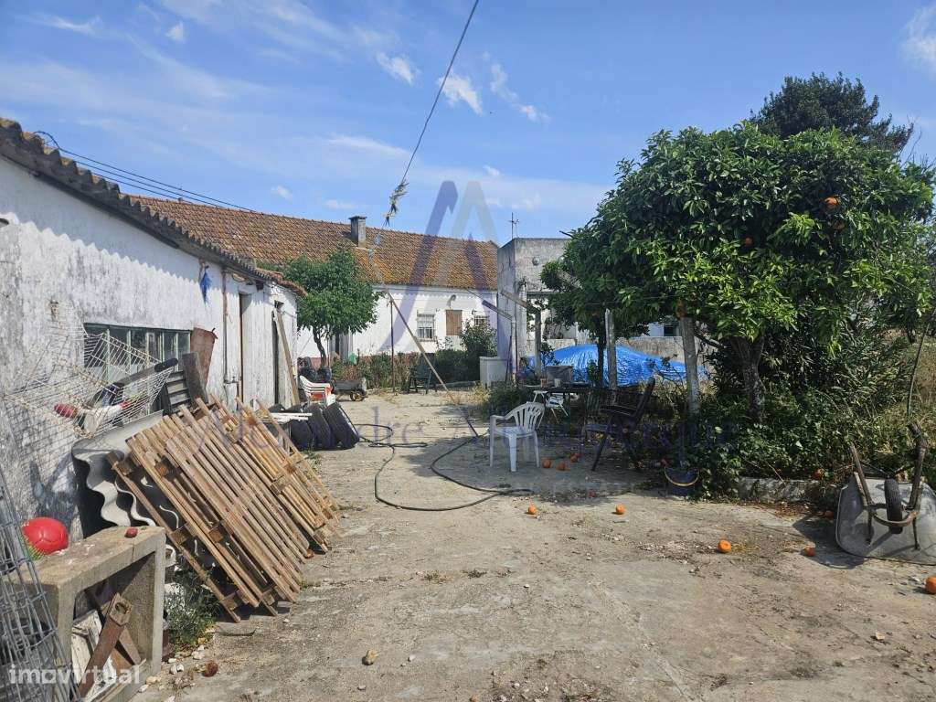 Quinta com 3 Habitações | Pinhal Novo | Terreno 5.400 m²-31