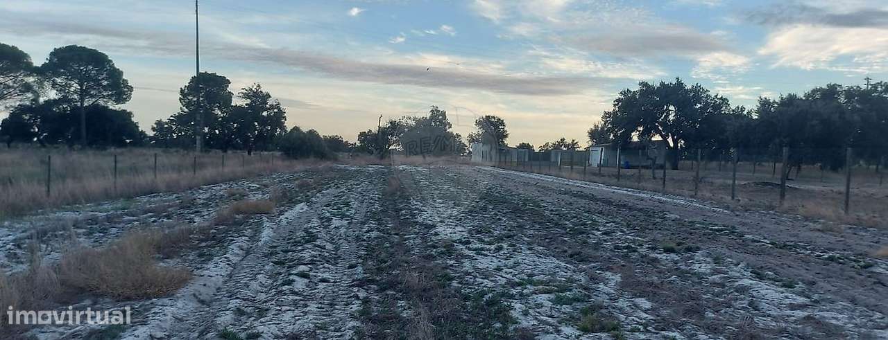 Terreno  para arrendamento - Grande imagem: 4/4