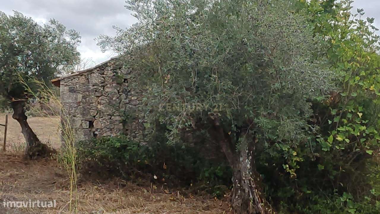 Casa de Campo em São Vicente do Paul, Santarém - Oportunidade Única-21