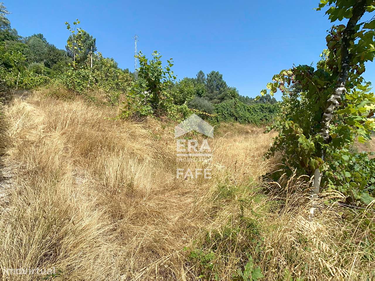 Moradia V4 em Ribas, Celorico de Basto-33