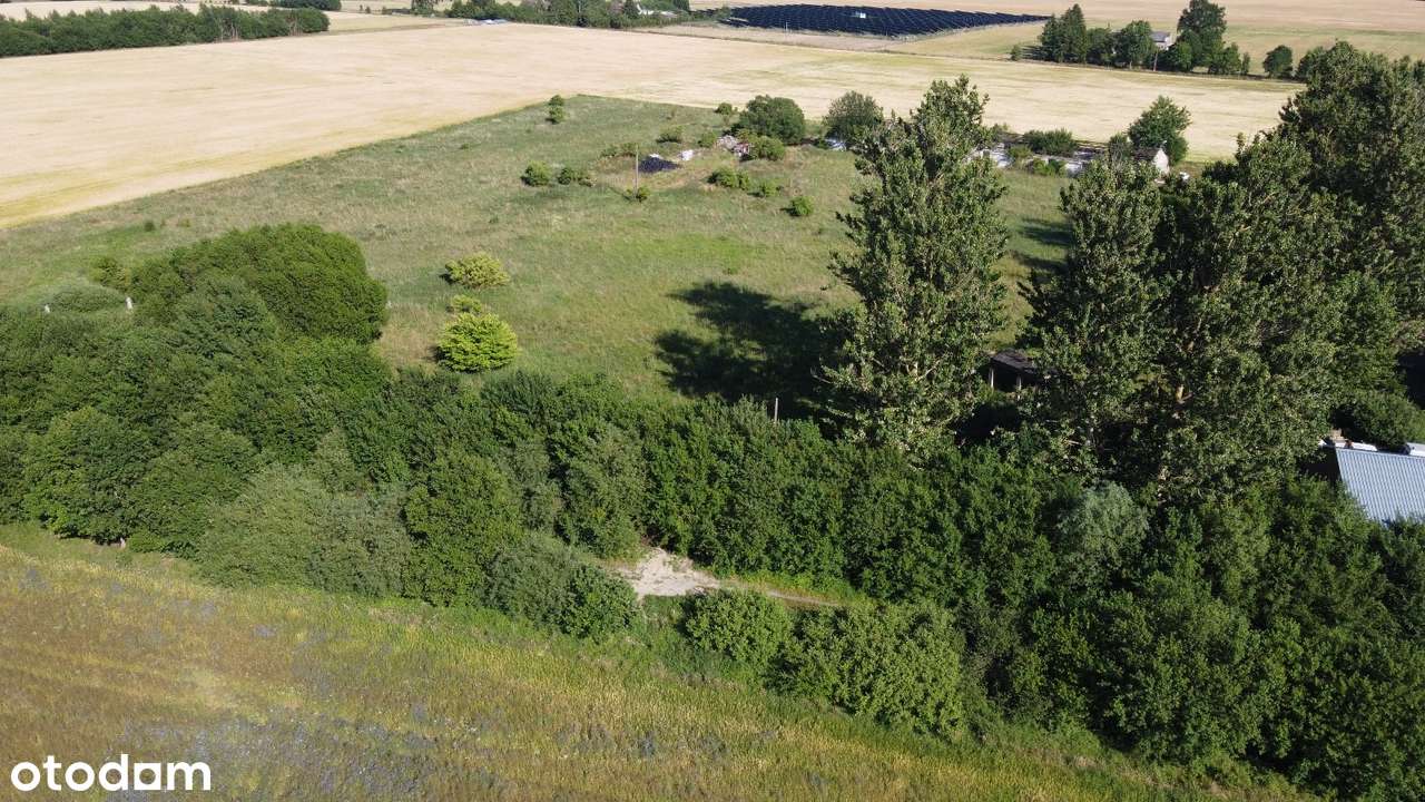 Hala magazynowa, warsztatowa, produkcyjna - Grunt 4,5 hektara-8