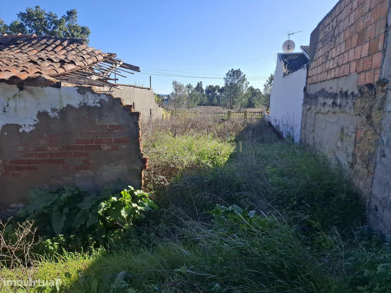 Lote de Terreno com Ruína - Botequim - Torres Novas - Grande imagem: 3/14