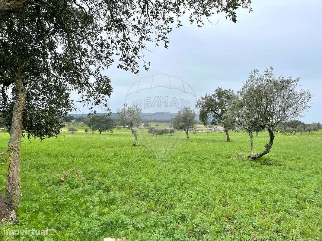 Terreno  para venda - Grande imagem: 2/5