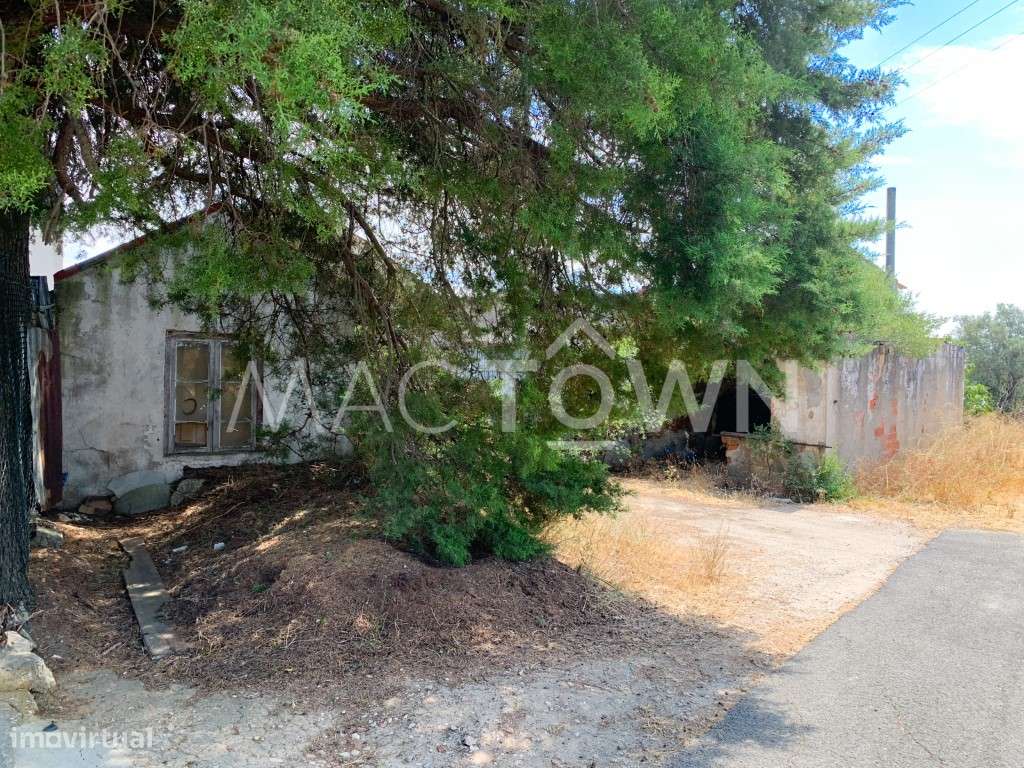 Lote Industrial Estratégico - Nova Área Empresarial de Alcanena - Grande imagem: 2/19