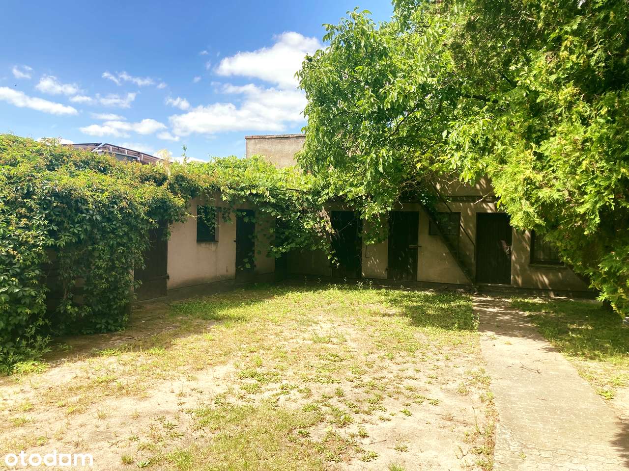 Okolice Ślesina – Dom wolnostojący-9