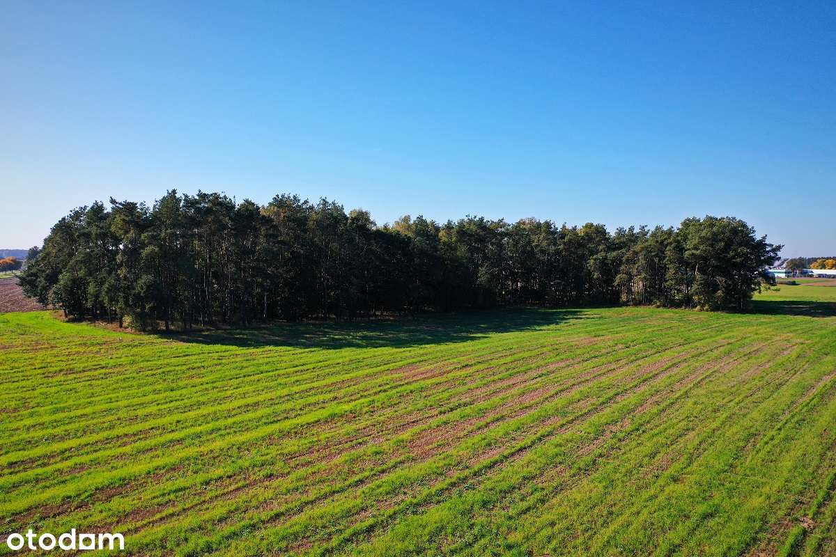 Działka budowlana - Margonin-10