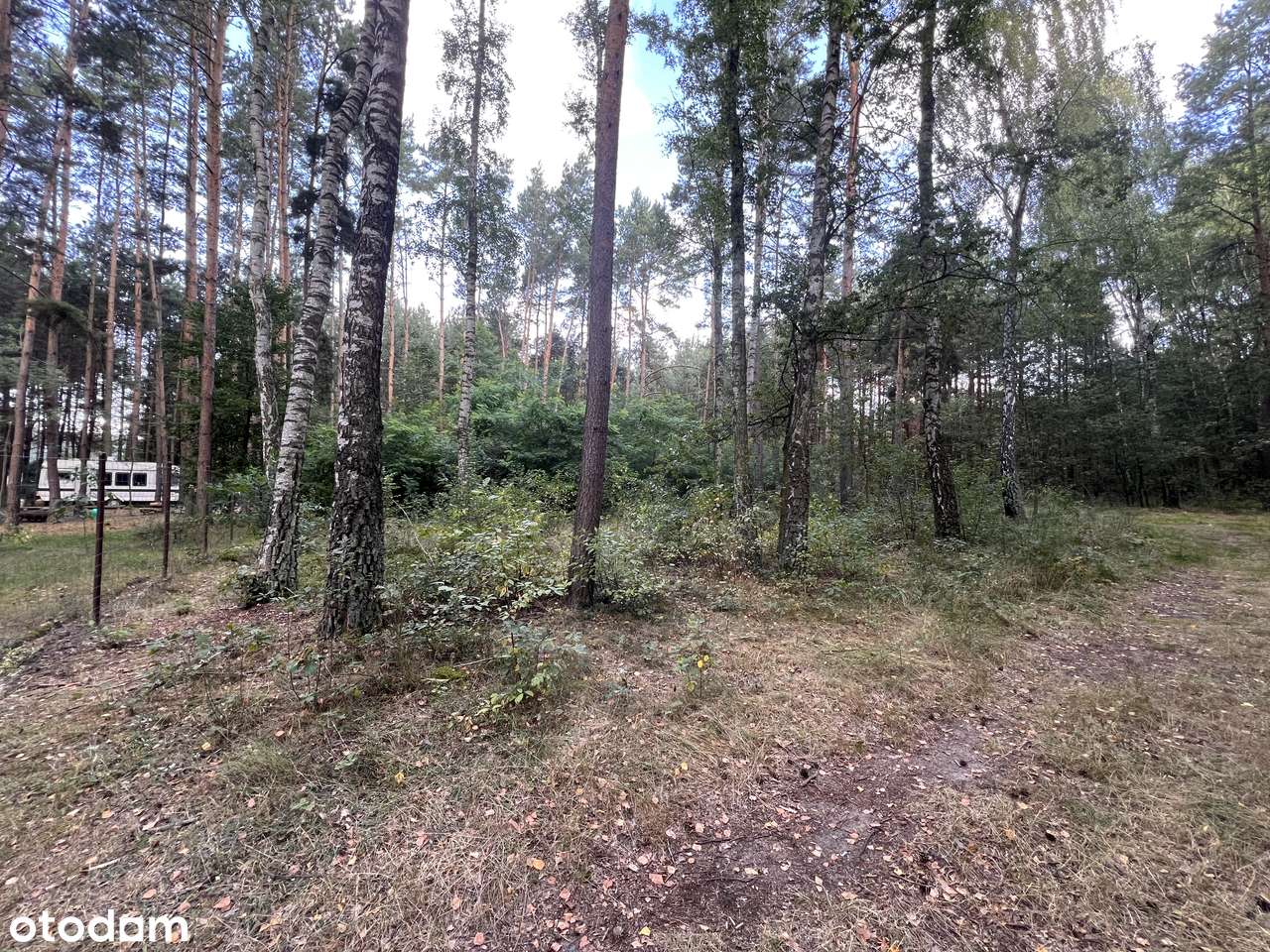 Urokliwa działka z wz na dom całoroczny, Zalew Cieszanowiski-bez % - Pełny obrazek: 2/11