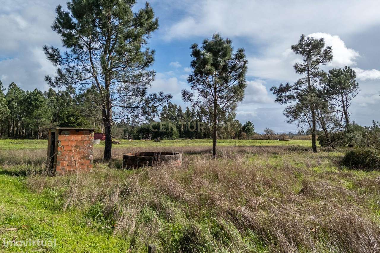 Terreno Agrícola em Alhadas, Figueira da Foz - 1071m² - Grande imagem: 3/8