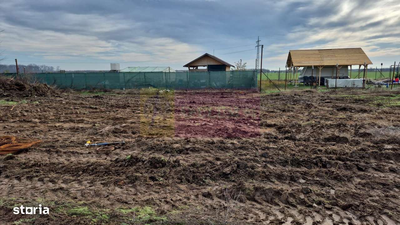 Teren aproape de Bucuresti langa padure între case - Imagine principală: 2/20