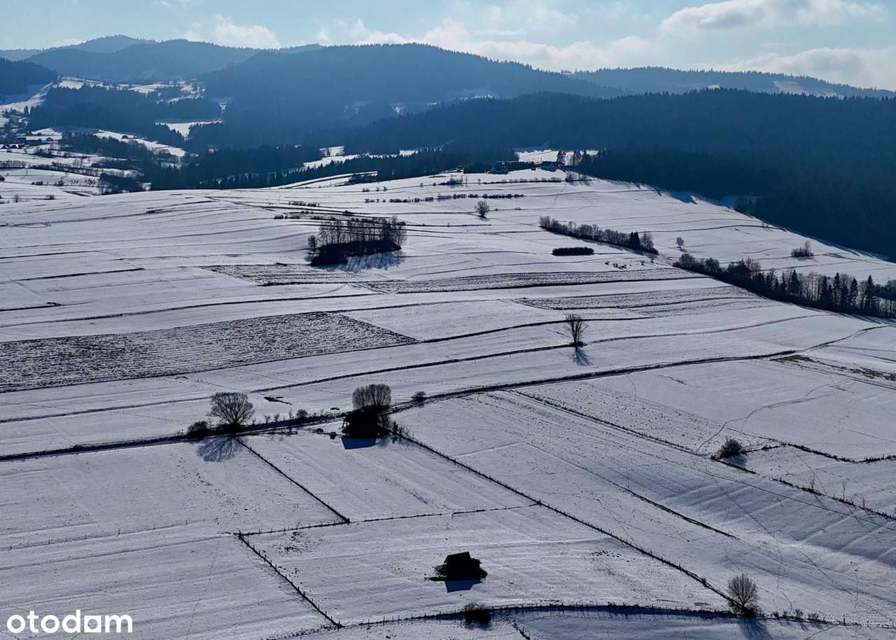 Duża działka budowlana w  SERCU BESKIDÓW-OLSZÓWKA, gmina Mszana Dolna-10