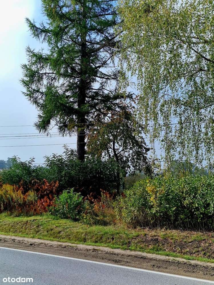 Działka usługowa 5100 m² – Doskonała lokalizacja-6