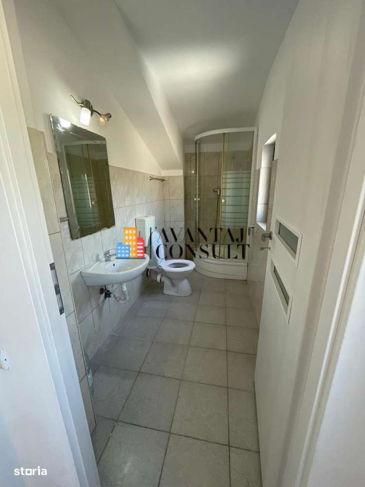 Vanzari Spatii Comerciale mixt hală și birouri-6