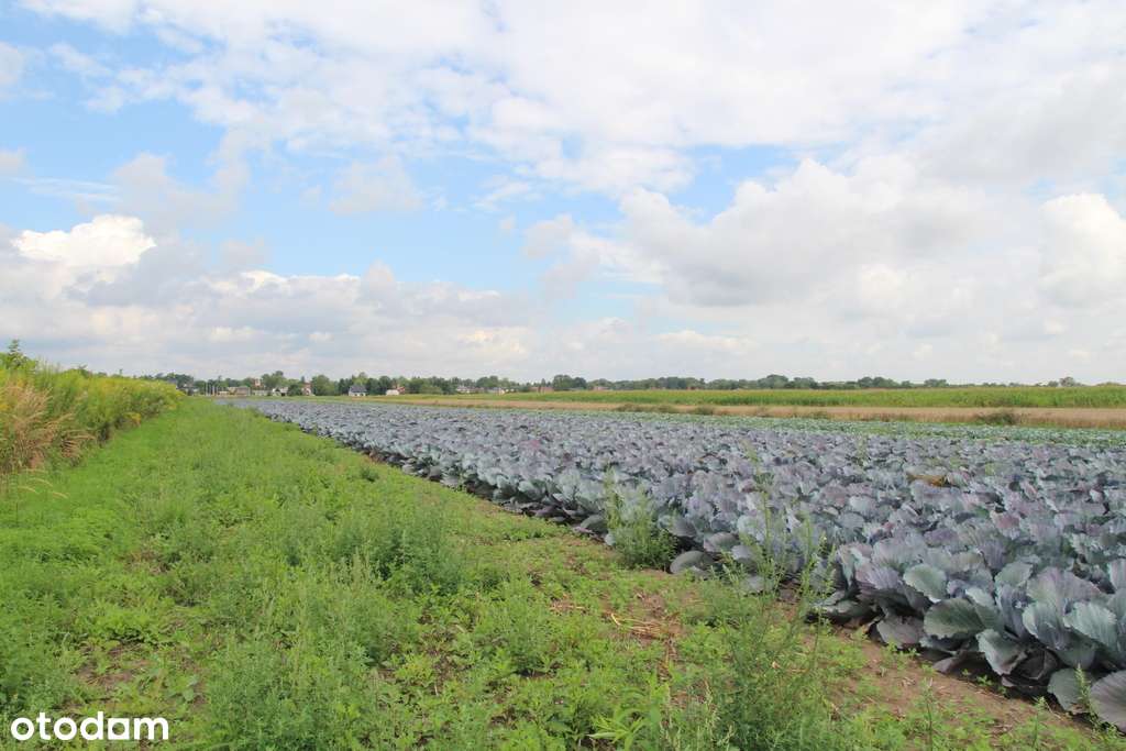 Inwestycyjna Działka w Krakowie, Nowa Huta-7