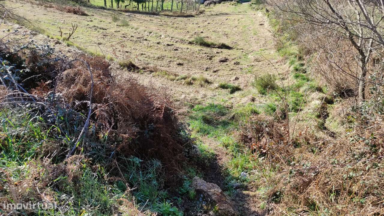 Terreno Rústico  Venda em Gouveia (São Simão),Amarante-9