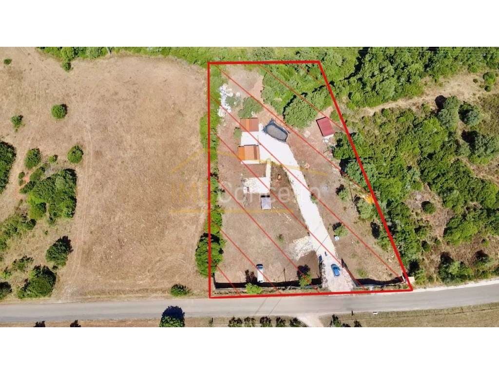 TERRENO RÚSTICO || ALMOSTER || SANTARÉM - Grande imagem: 2/11