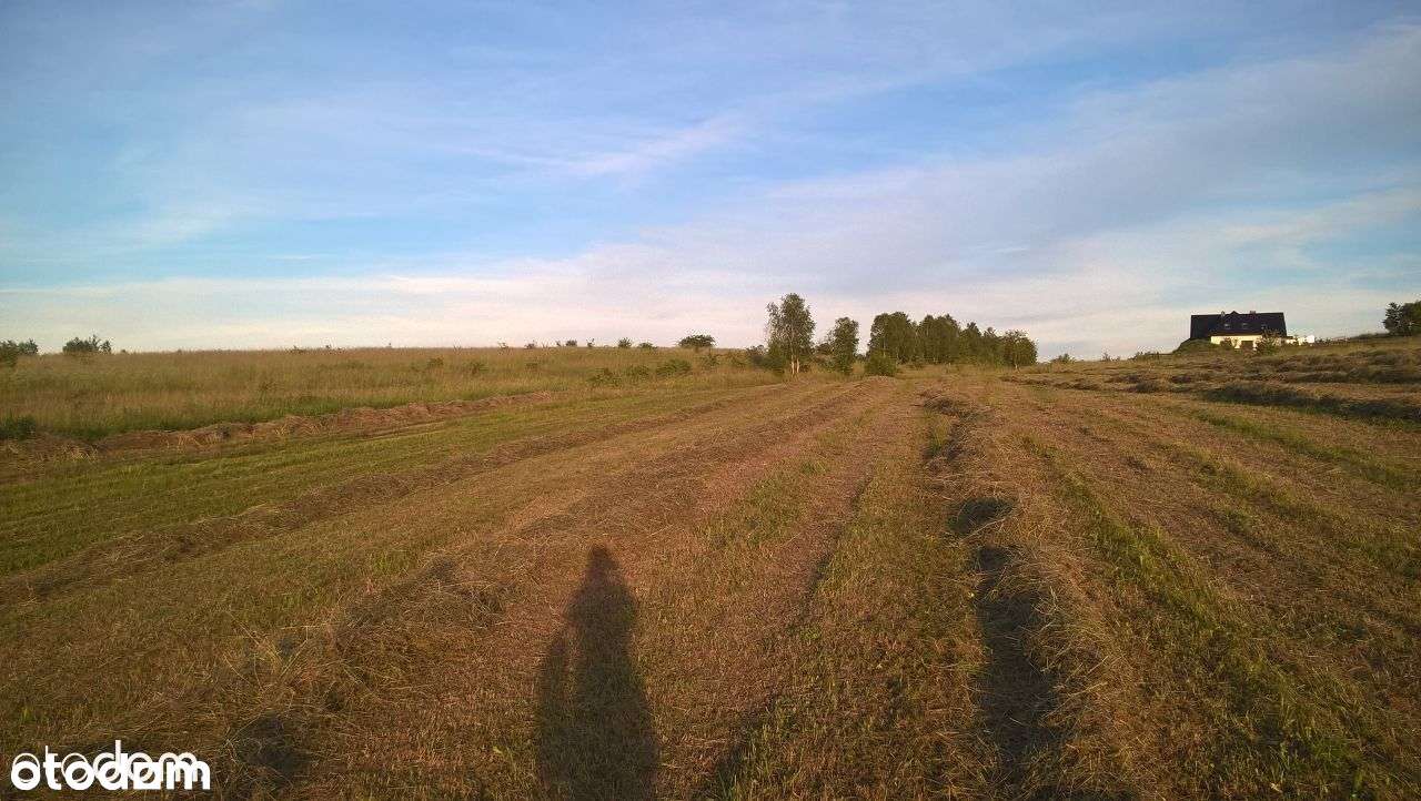 PROMOCJA JESIENNA. Sprzedam działkę Nowa Ruda Słupiec ul. Kasztanowa - Pełny obrazek: 5/9