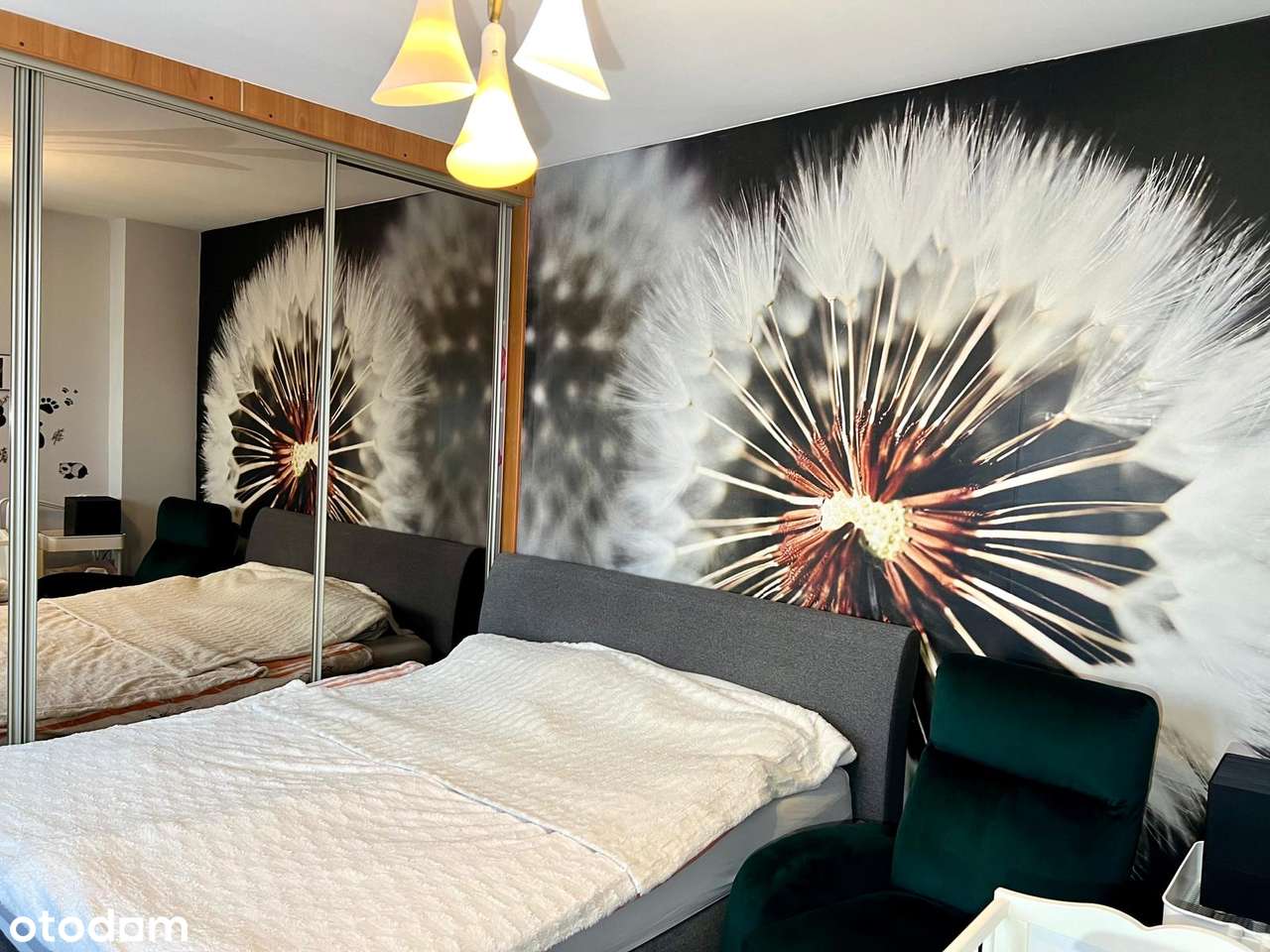 Dom w centrum miasta - Pełny obrazek: 2/4