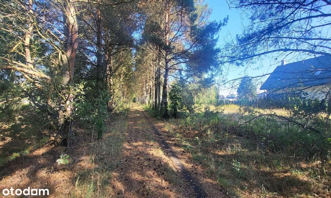 Dom na sprzedaż, Nowa Mała Wieś - Pełny obrazek: 5/20