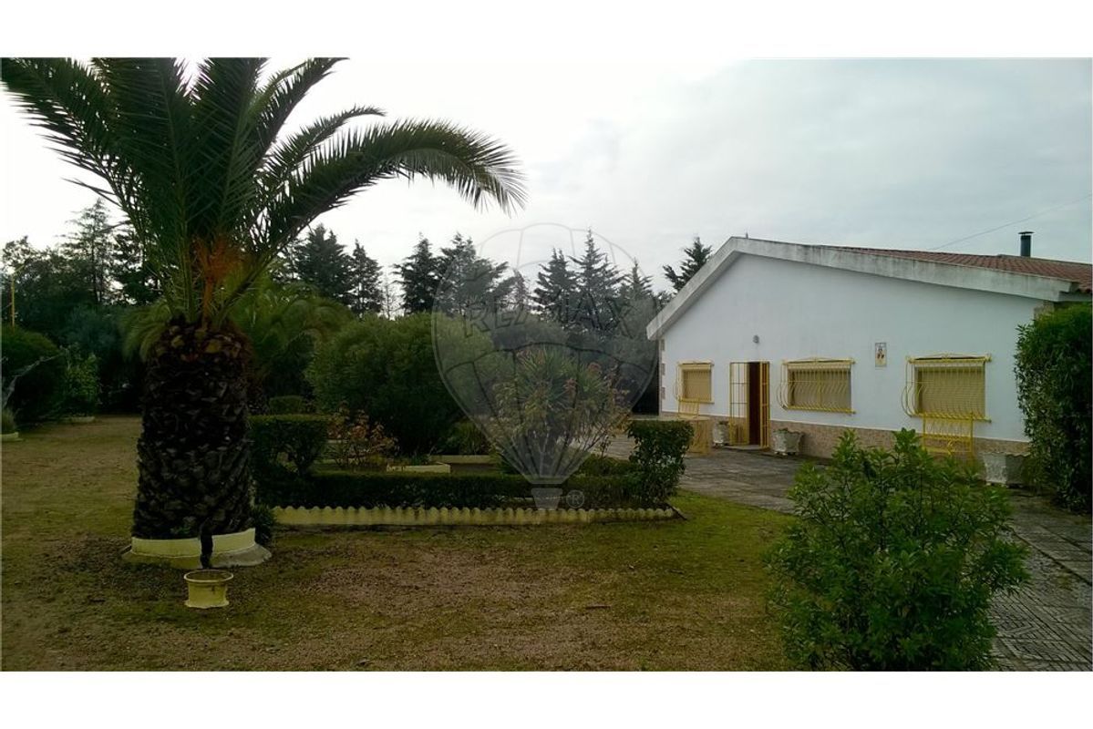 Quinta com moradia T3 e piscina - Campo Maior