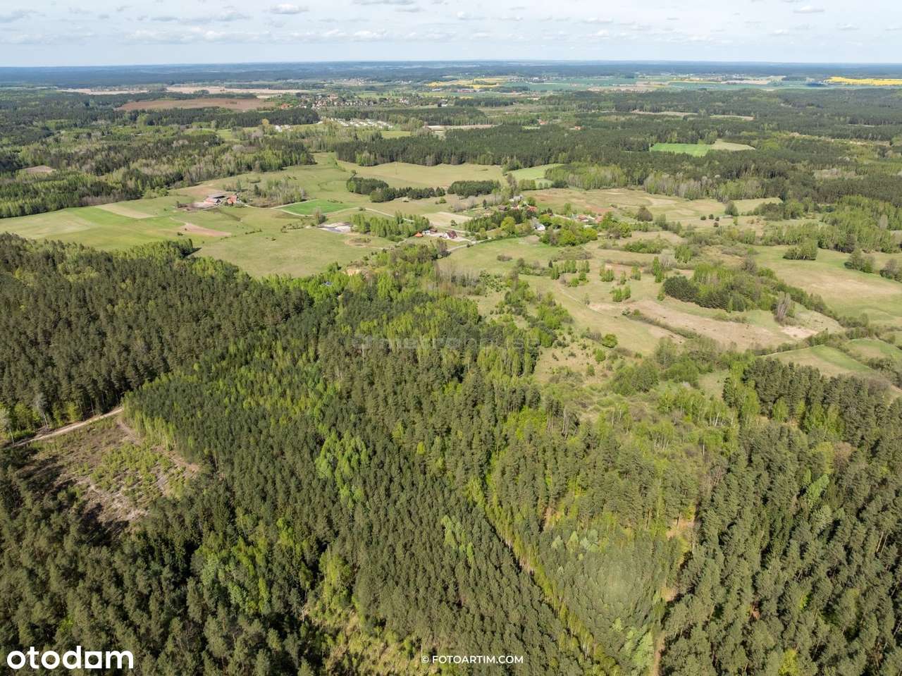 Działka Inwestycyjna w Jadaminach - Pełny obrazek: 3/8