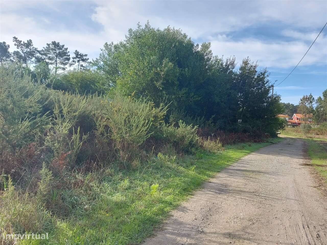 Terreno agrícola em Covão do Lobo, Vagos - Grande imagem: 2/5