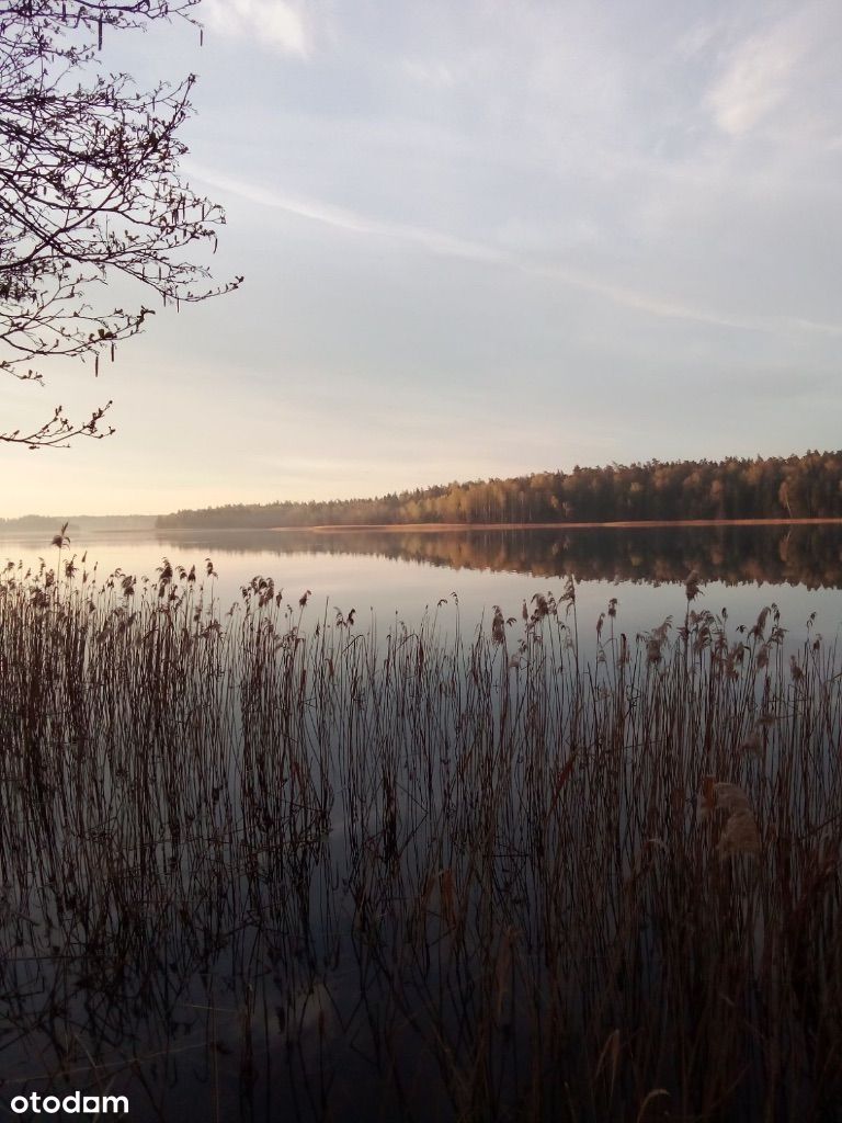 Wyjątkowa Działka z Domkiem nad Jeziorem Wigry