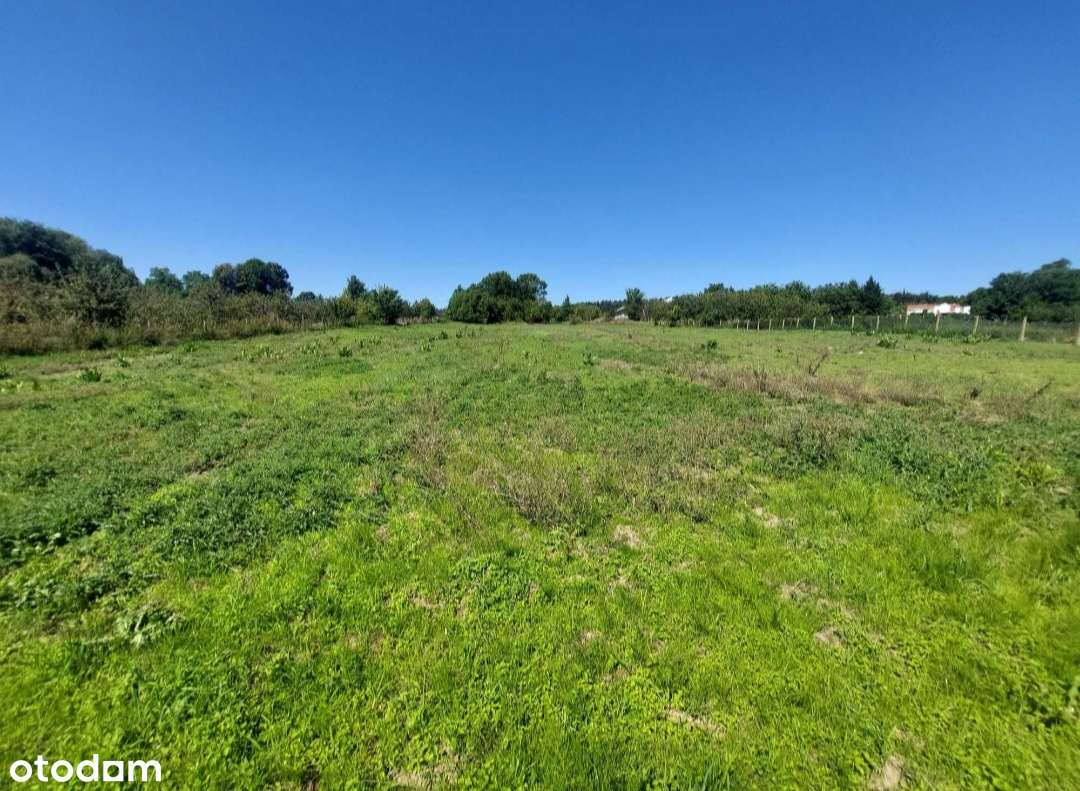 Piękna malownicza działka w Biejkowie nad rzeką Pilicą - Pełny obrazek: 4/6