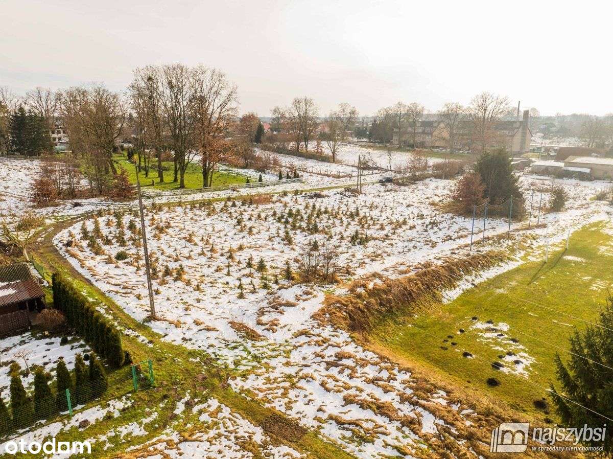 Łosośnica - działka z warunkami, kanalizacja, gaz - Pełny obrazek: 5/19