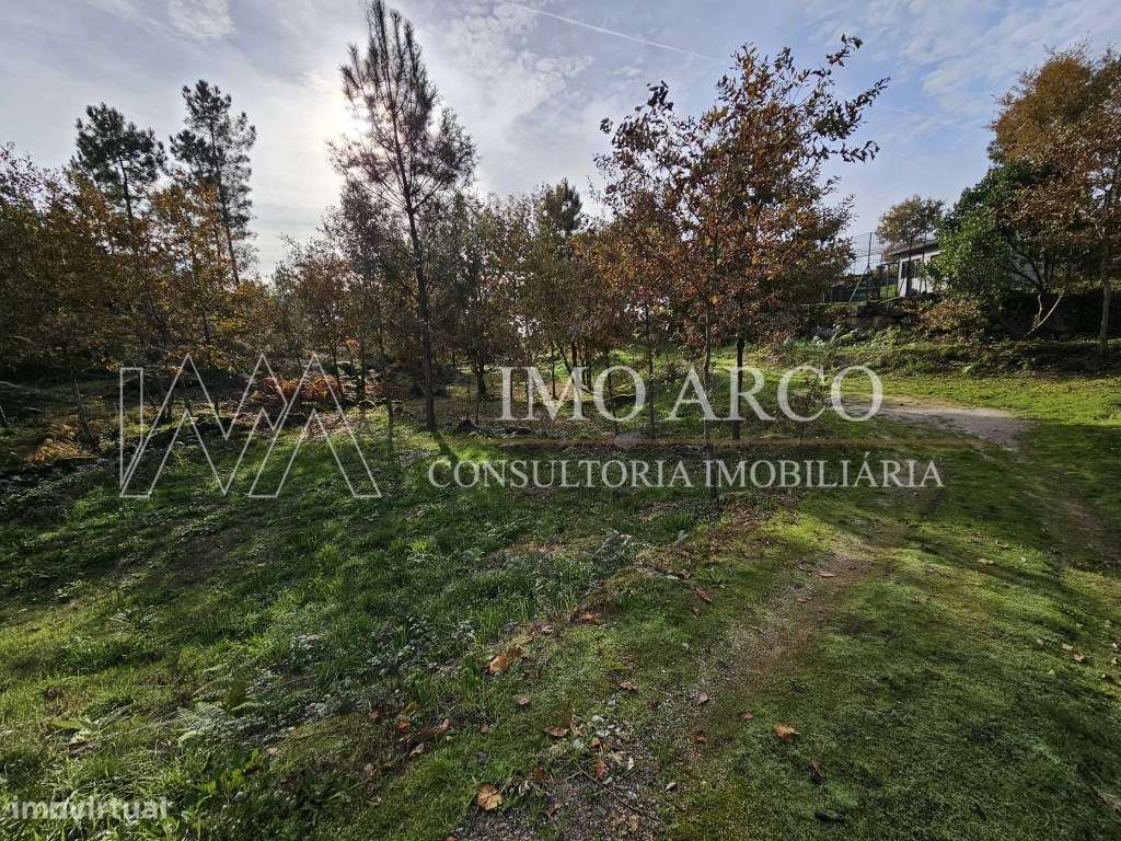 Terreno, Olival de Meanhos-13