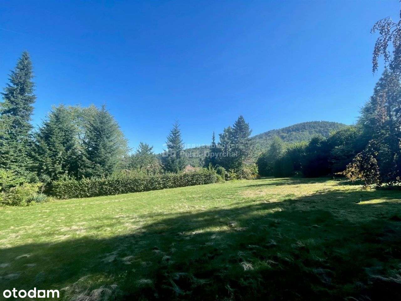 Pięknie, cicho, zielono-3